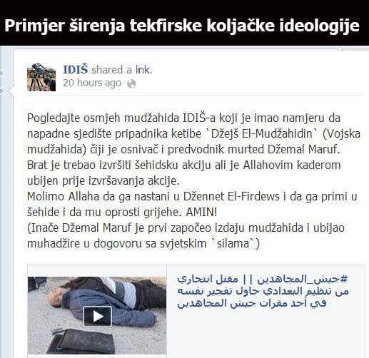 primjertekfirskogludila